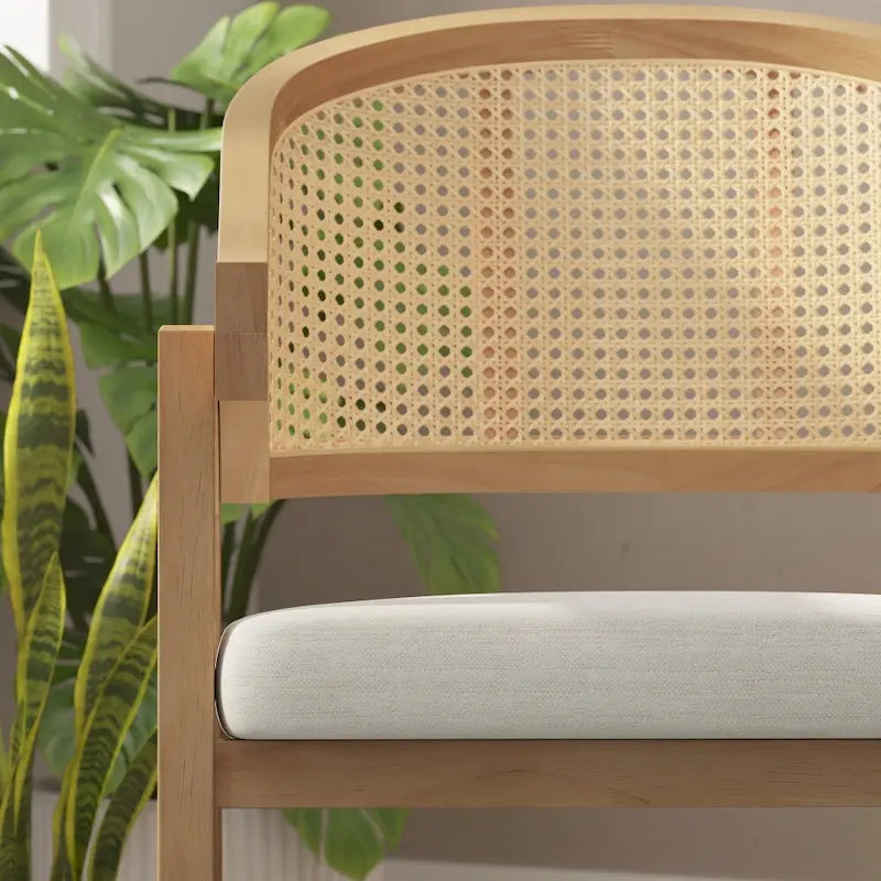 Sedia da pranzo in rattan con seduta imbottita