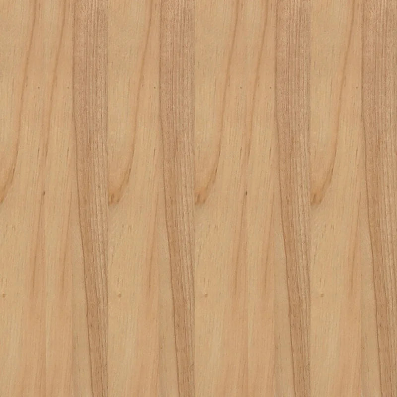 Sedia da pranzo in rattan con seduta imbottita